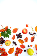 Apples and multicolored autumn leaves of rowan and maple on a wooden background with space for text Poster, banner, advertisement.