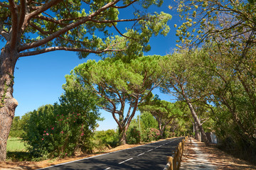 hyeres in provence france 