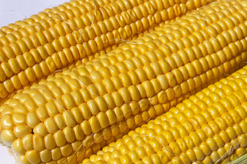close up of golden color corn on a cob vegan organic food cooking concept