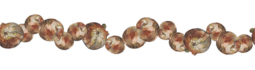 Seamless border of watercolour painted unpeeled brown onions, isolated on white. For cookbook, recipes, harvest celebration event decoration, stationery and packaging design.