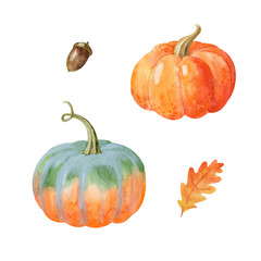 Hand painted watercolor  pumpkins, acorn,oak leave isolated clipart