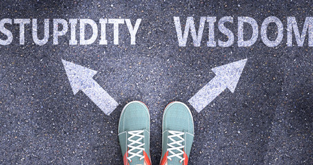 Stupidity and wisdom as different choices in life - pictured as words Stupidity, wisdom on a road to symbolize making decision and picking either Stupidity or wisdom as an option, 3d illustration