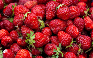 Freshly picked strawberries. Strawberry. Food background. Red ripe strawberry background. Close-up, top view. Strawberry texture macro shot. Beautiful berry, healthy food.