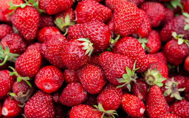 Freshly picked strawberries. Strawberry. Food background. Red ripe strawberry background. Close-up, top view. Strawberry texture macro shot. Beautiful berry, healthy food.