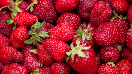 Freshly picked strawberries. Strawberry. Food background. Red ripe strawberry background. Close-up, top view. Strawberry texture macro shot. Beautiful berry, healthy food.