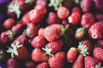 Freshly picked strawberries. Strawberry. Food background. Red ripe strawberry background. Close-up, top view. Strawberry texture macro shot. Beautiful berry, healthy food.