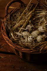 Obraz premium Quail eggs in a nest made of hay and wicker baskets.