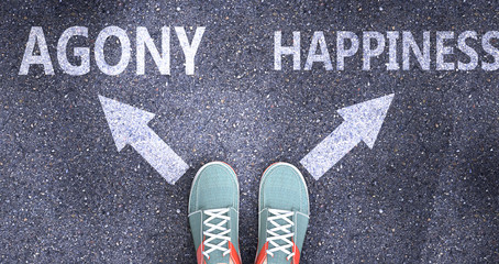 Agony and happiness as different choices in life - pictured as words Agony, happiness on a road to symbolize making decision and picking either Agony or happiness as an option, 3d illustration