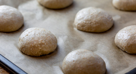 Fototapeta na wymiar Whole grain burger buns. Proofing the dough before baking. Preparation