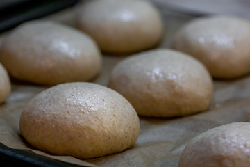 Fototapeta na wymiar Whole grain burger buns. Proofing the dough before baking. Preparation