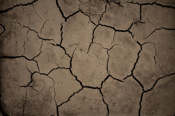 cracked earth texture