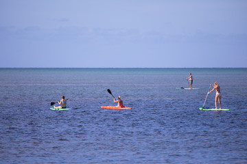 people paddle boarding on the sea, Islamorada