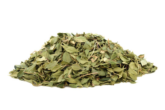 Buchu herb leaf used in herbal medicine to treat inflammation, cystitis, urethritis, kidney and urinary tract infections, used as a diuretic and as a stomach tonic, on white. Barusma betulina.