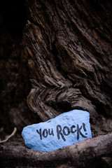 A close up of a rock sitting on a tree that says, "you rock!"