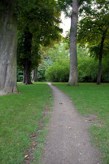 Path between trees in a park