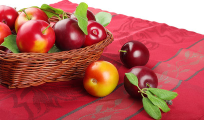 plums in the basket isolated on white background