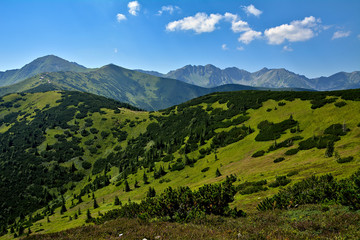 góry Tatry, widok z Grzesia na Rakoń i Wołowiec - obrazy, fototapety, plakaty