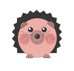 A cute flat hedgehog in the shape of a circle. Drawing isolated on white background. Stock vector illustration.