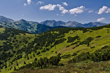 góry Tatry, widok z Grzesia
