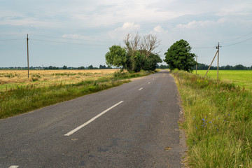 Fototapeta na wymiar Rural summer landscape. Old deserted, cracked asfalnaya road in the rye field.