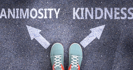 Animosity and kindness as different choices in life - pictured as words Animosity, kindness on a road to symbolize making decision and picking either one as an option, 3d illustration