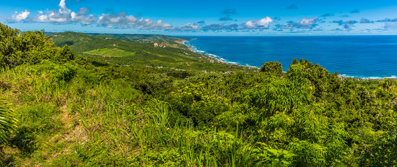 A panorama view from Hackleton Cliffs along the Atlantic coast in Barbados