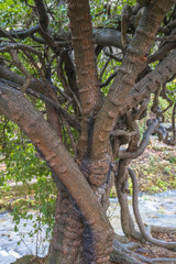 Views of the Krka National Park, near Sibenik, Croatia
