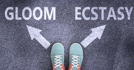 Gloom and ecstasy as different choices in life - pictured as words Gloom, ecstasy on a road to symbolize making decision and picking either Gloom or ecstasy as an option, 3d illustration