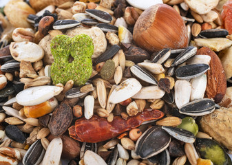 seeds for parrot