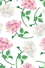 Vintage watercolor pattern with realistic white and pink roses on a white background