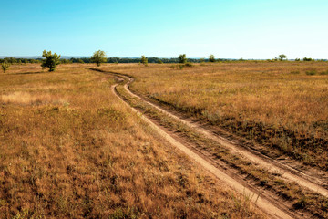 Fototapeta na wymiar summer steppe landscape, the road warms through the fields, country road