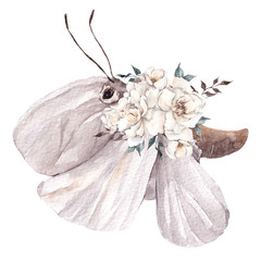 Watercolor illustration with moth and flowers, isolated on white background
