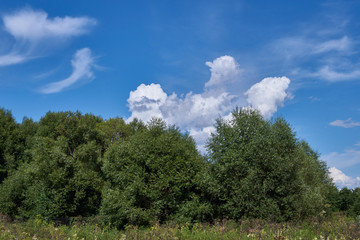 In the photo there is a landscape in the Snezhet river floodplain. Very beautiful clouds in the sky.