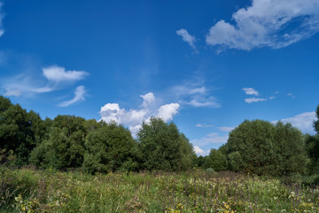 In the photo there is a landscape in the Snezhet river floodplain. Very beautiful clouds in the sky.