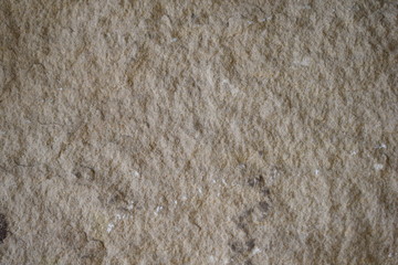 texture of fur