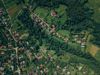 A crowd of people in a field