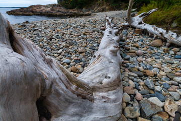 Stones & Driftwood, Little Hunters Beach, Acadia National Park, Maine