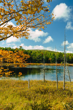 Breakneck Ponds, Acadia National Park, Maine