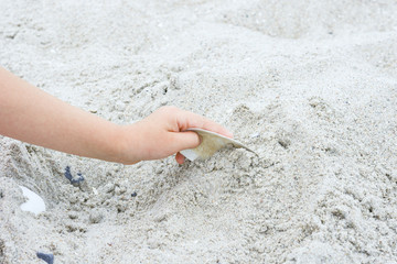 Sand on the coast line of baltic sea