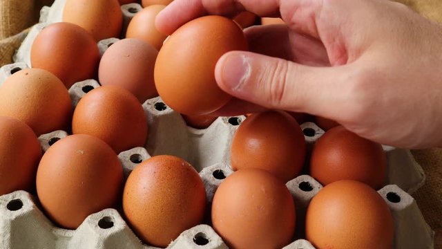 The hand checks the expiration date on the egg in a package with a lot of eggs. Healthy food concept. Close up, selective focus