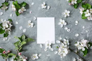 Flowers composition. Frame made of white flowers and green leaves. Apple tree flowers on pastel gray background. Spring concept. Flat lay, top view, copy space