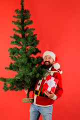 Santa with Christmas tree. New year concept. December. Bearded Santa Claus. Man in santa costume. Christmas decorations.