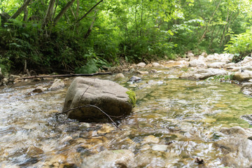 Naklejka premium Forest creek running through the stones. Nature landscape with Long exposure shot