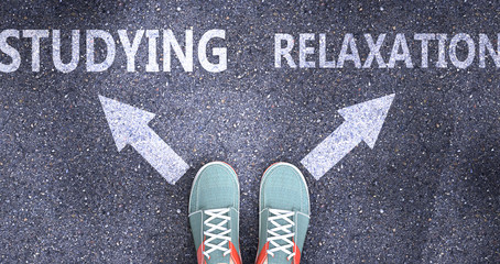Studying and relaxation as different choices in life - pictured as words Studying, relaxation on a road to symbolize making decision and picking either one as an option, 3d illustration