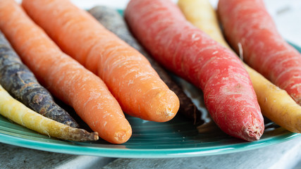 Close up photo of carrots on a green plate in various colors and sizes. Concept photo for local and sustainable farm produce.