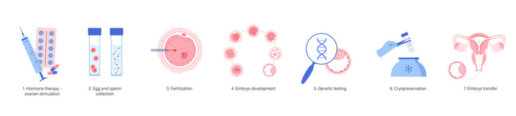 In vitro fertilisation concept