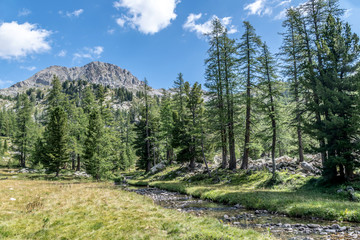 Fototapeta na wymiar Paysage alpin dans le parc du Mercantour