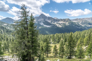 Paysage alpin dans le parc du Mercantour