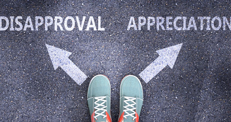 Disapproval and appreciation as different choices in life - pictured as words Disapproval, appreciation on a road to symbolize making decision and picking either one as an option, 3d illustration
