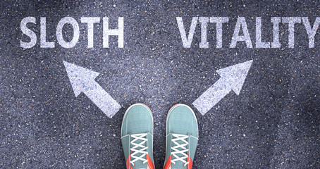 Sloth and vitality as different choices in life - pictured as words Sloth, vitality on a road to symbolize making decision and picking either Sloth or vitality as an option, 3d illustration